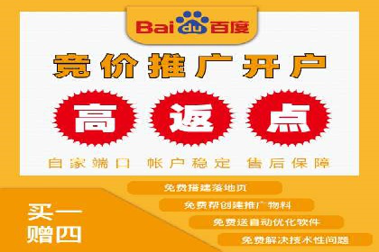 百度推广费用投入与用户转化路径的优化案例
